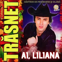 Formatia Trasnet — Ai, Liliana — обложка