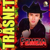 Formatia Trasnet — Femeia — обложка